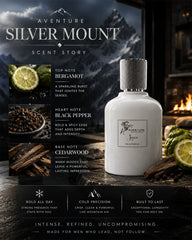 Aventure Silver Mount Eau de Parfum 100ml