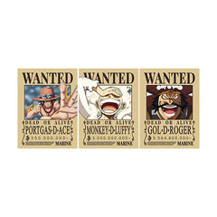 Anime One Piece 3D Poster (3 in 1) - Vers.22