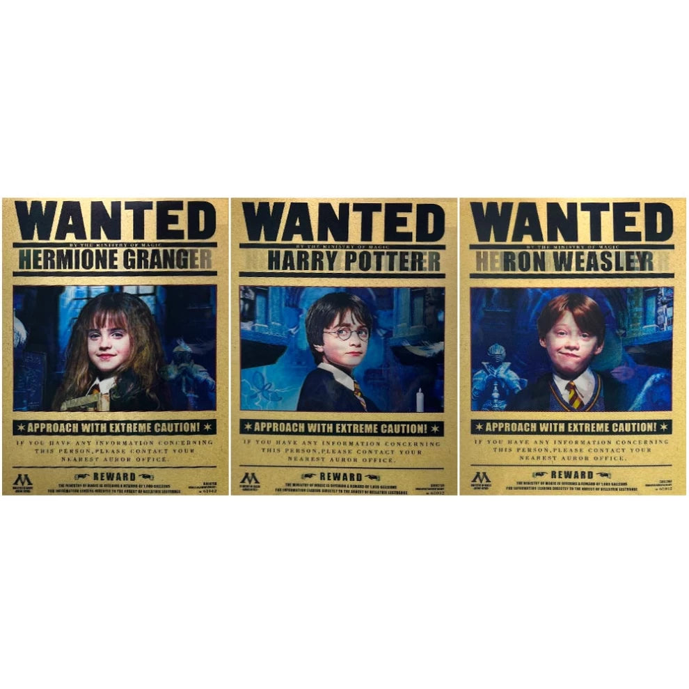 Harry Potter 3D Lenticular Poster – Wanted Trio Design (40x30 cm)