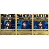 Harry Potter 3D Lenticular Poster – Wanted Trio Design (40x30 cm)