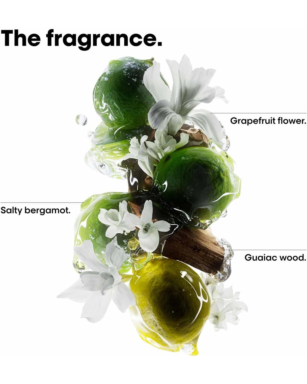 L'Oréal Professionnel Metal Detox fragrance notes graphic featuring citrus and woody scent elements for a fresh salon-inspired experience