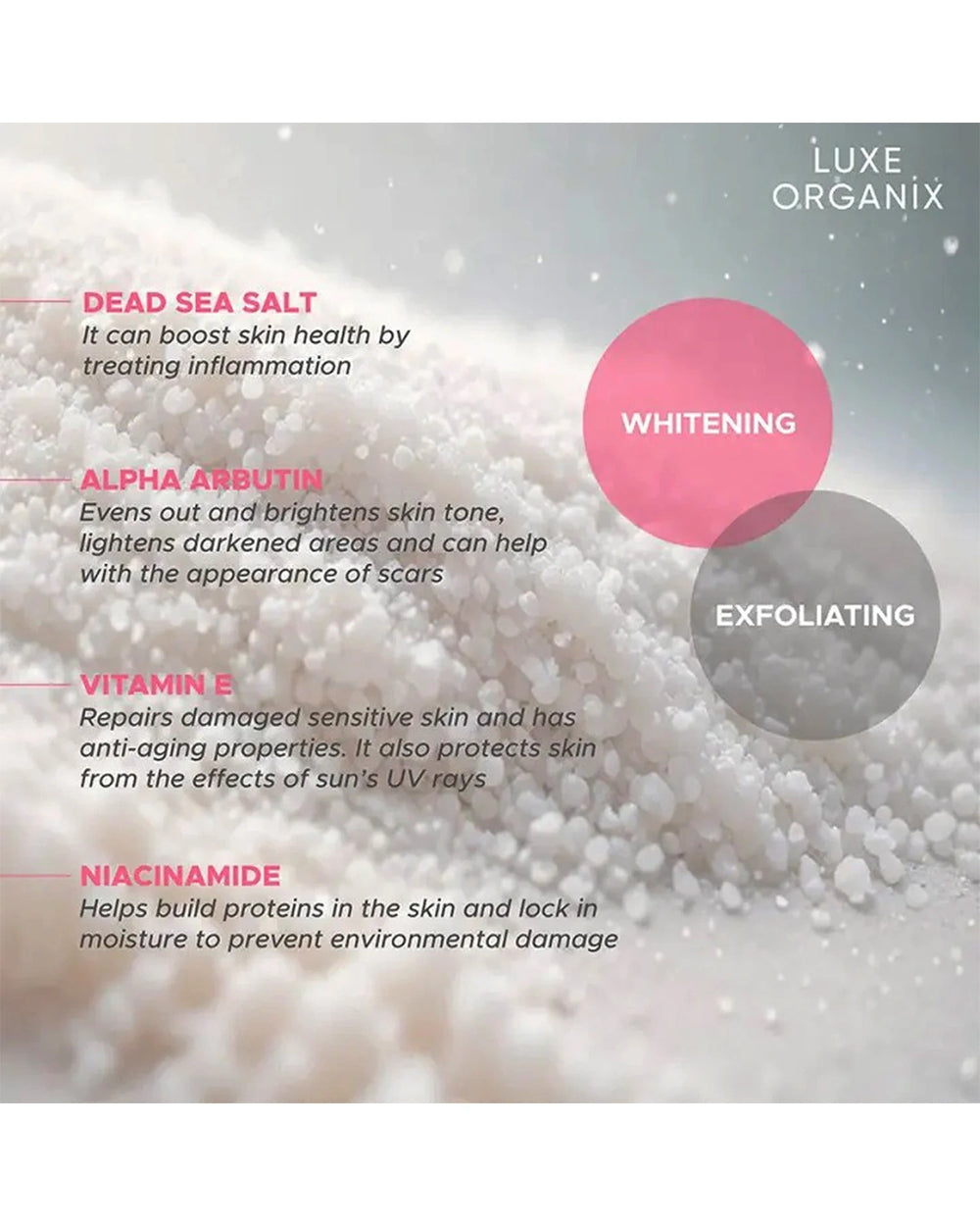 Luxe Organix body scrub ingredient infographic featuring Dead Sea Salt Alpha Arbutin Vitamin E and Niacinamide